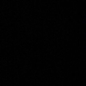 Meet your Posher, Reece